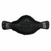 Sangle anatomique courte mouton