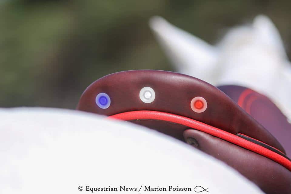 Nos options / our options : Photo LED © Marion Poisson Nos options / our options : Photo LED © Marion Poisson