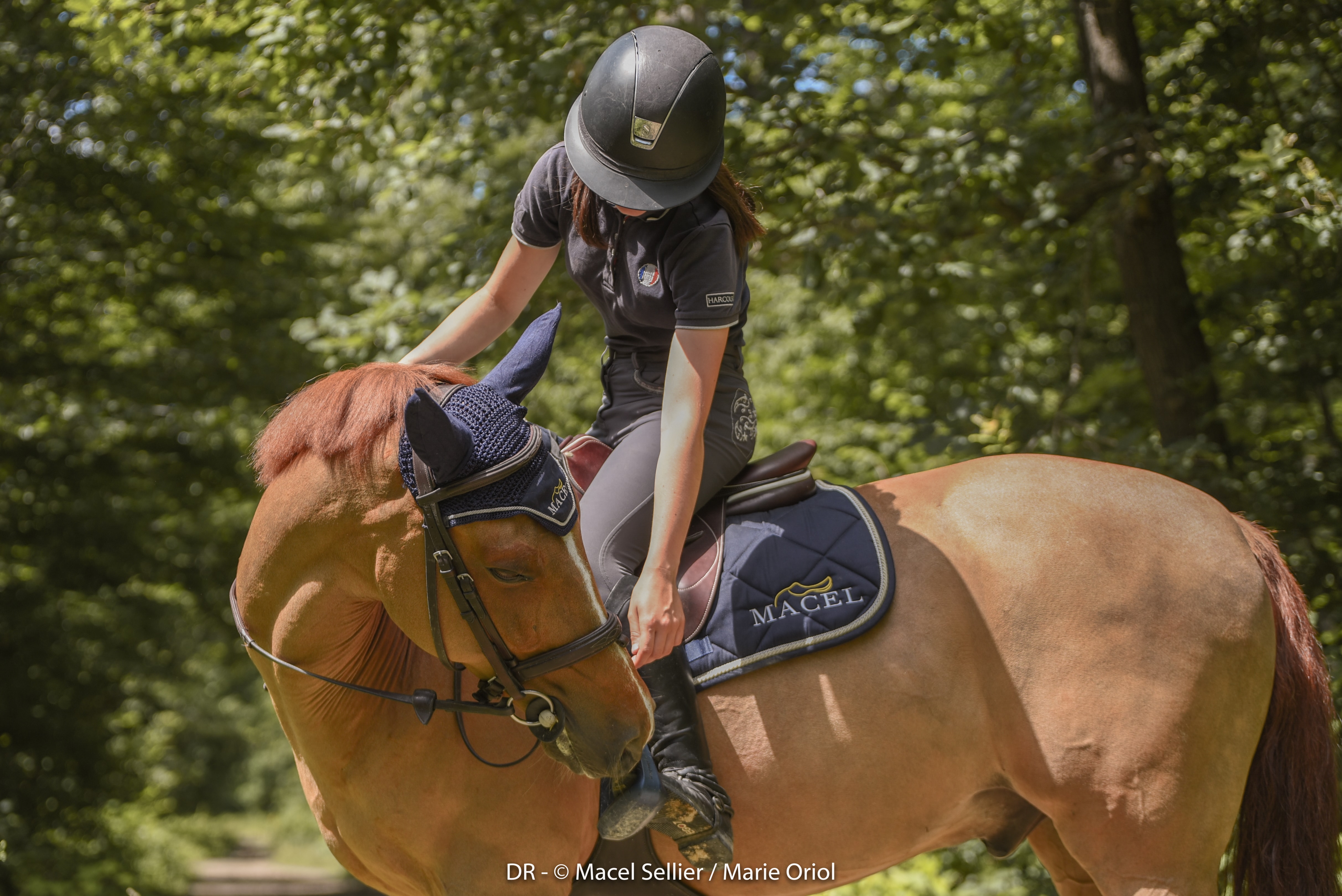 Clara Maitre / horse respect / le respect du cheval Macel Sellier has had know-how for 50 years, and is committed every day to enhancing and perpetuating it in ethical horse respect. / Macel Sellier possède un savoir-faire depuis 50 ans, et s'engage chaque jour à le valoriser et à le perpétuer dans le respect éthique du cheval.