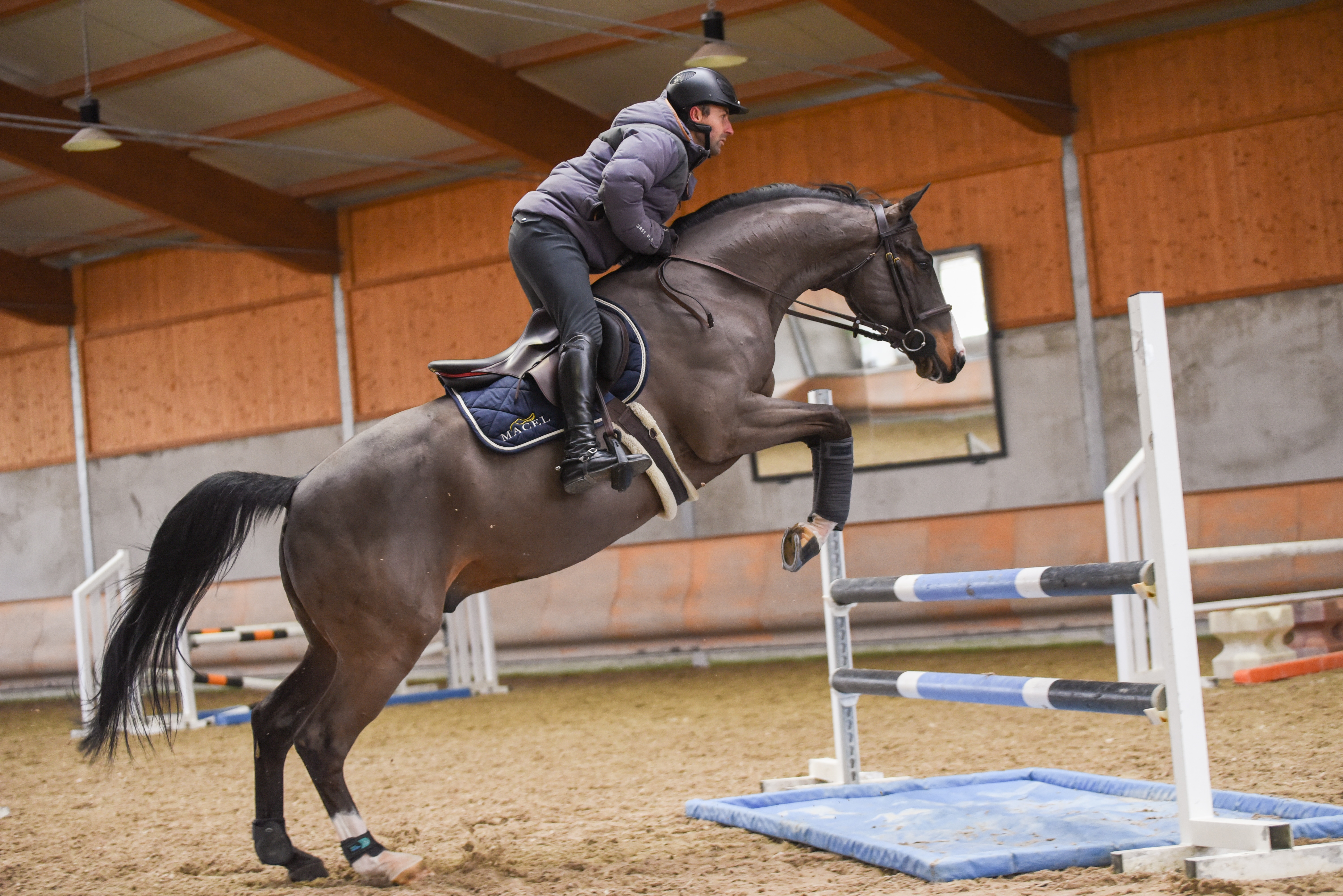 Nos options / our options : Jumping with S option / CSO Romain Lavigne © Marie Oriol