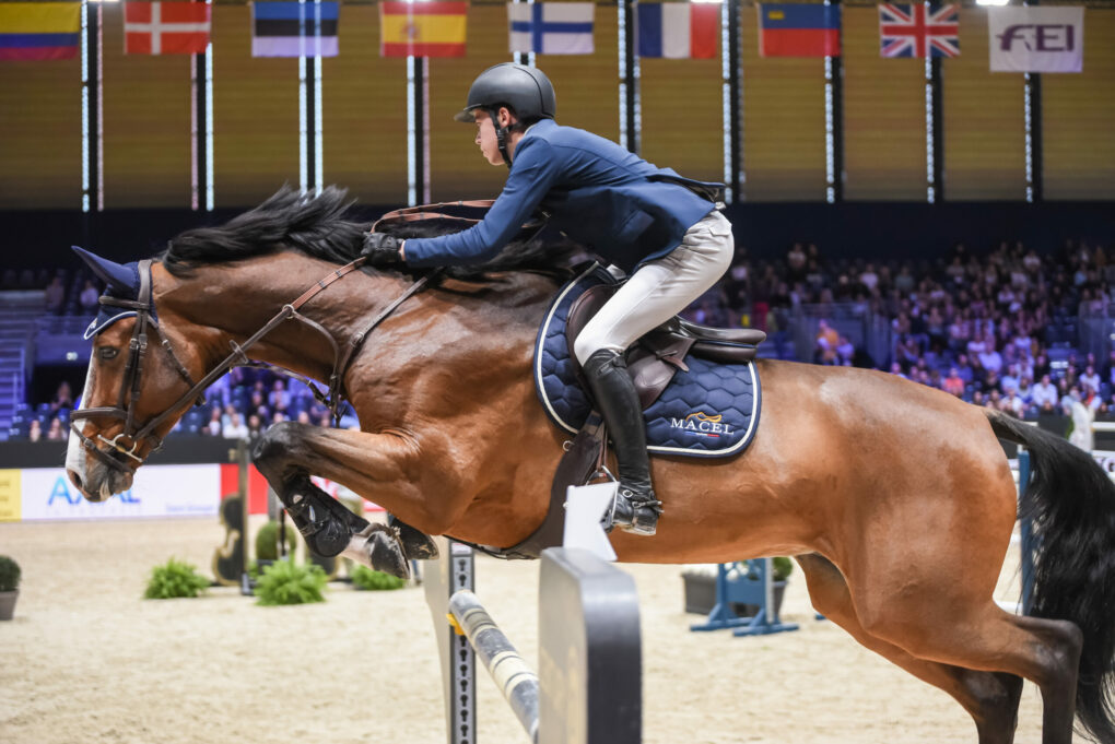 Nouveau tapis de selle CSO Macel / New saddle pad jumping Macel 2