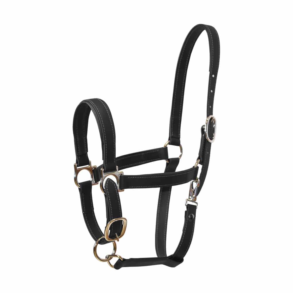 Licol noir - Macel Halter