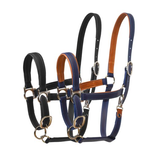 Licols Macel Noir et Bleu - Biotane et cuir - Macel Halter