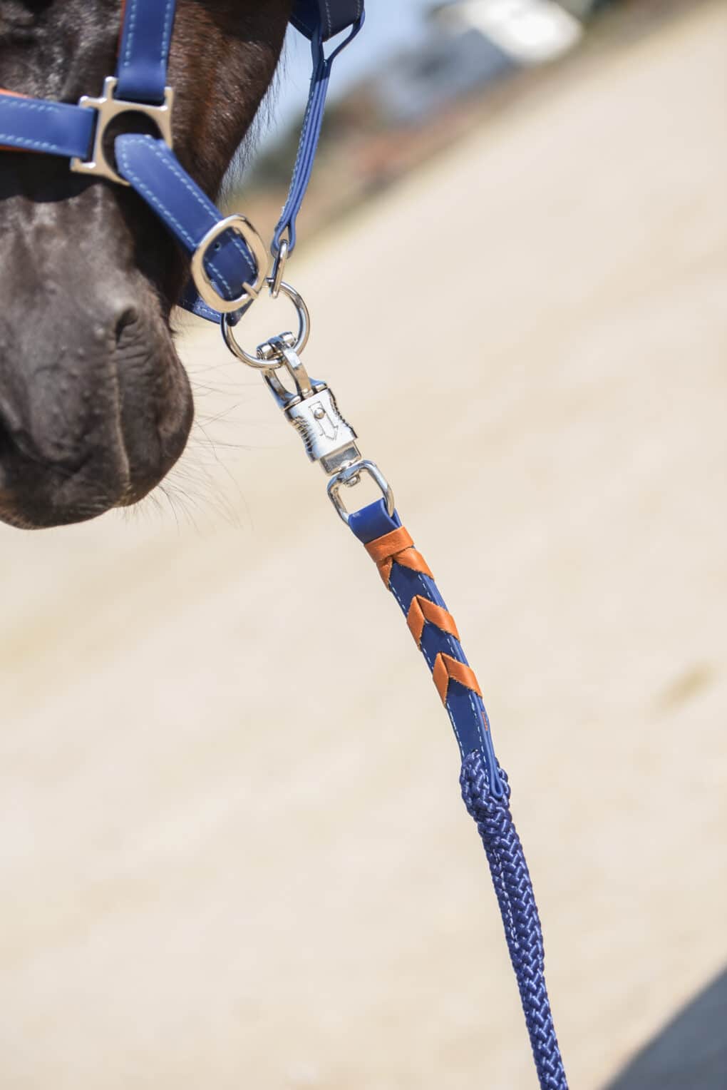 Longe Bleue - Macel Lead (2)