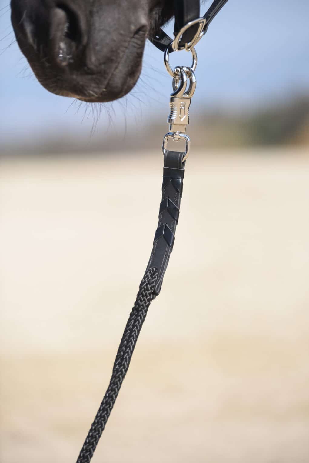 Longe noire - Macel Lead (2)