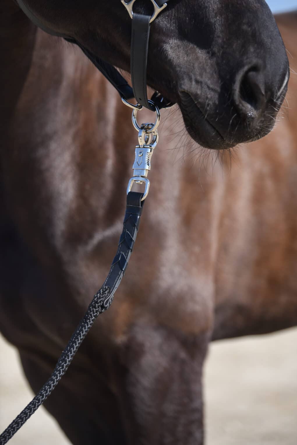Longe noire - Macel Lead (3)