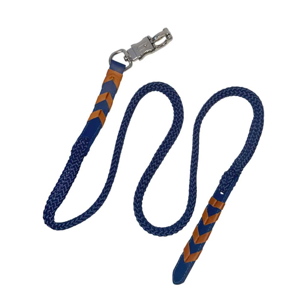 longe bleue - Macel lead