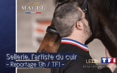 L’artiste du cuir – Reportage 13h / TF1